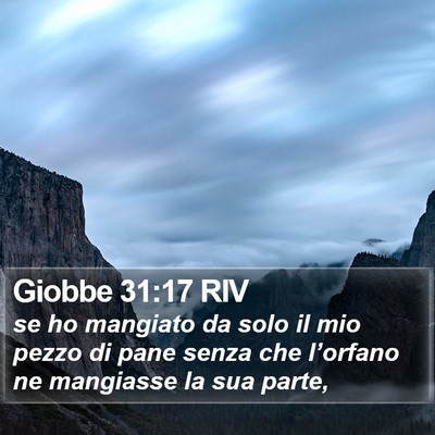 Giobbe 31:17 RIV Bible Verse Image