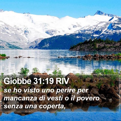 Giobbe 31:19 RIV Bible Verse Image