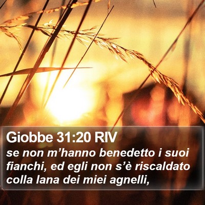 Giobbe 31:20 RIV Bible Verse Image