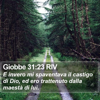 Giobbe 31:23 RIV Bible Verse Image