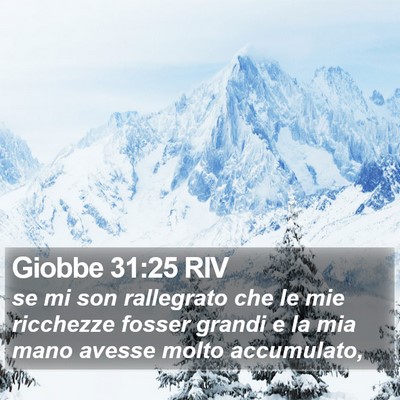 Giobbe 31:25 RIV Bible Verse Image