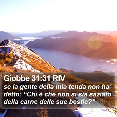 Giobbe 31:31 RIV Bible Verse Image