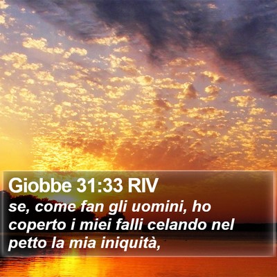 Giobbe 31:33 RIV Bible Verse Image