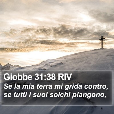Giobbe 31:38 RIV Bible Verse Image