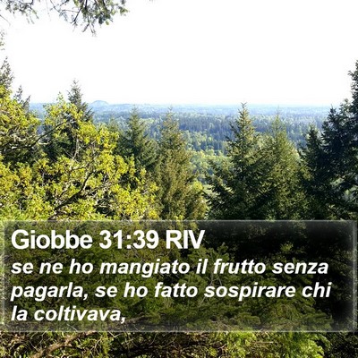 Giobbe 31:39 RIV Bible Verse Image