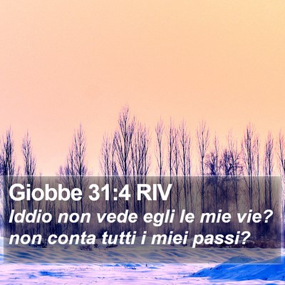 Giobbe 31:4 RIV Bible Verse Image