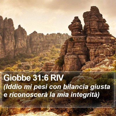 Giobbe 31:6 RIV Bible Verse Image