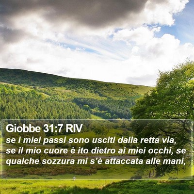 Giobbe 31:7 RIV Bible Verse Image