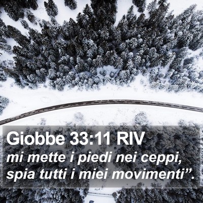Giobbe 33:11 RIV Bible Verse Image