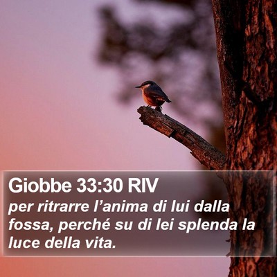 Giobbe 33:30 RIV Bible Verse Image