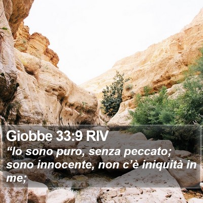 Giobbe 33:9 RIV Bible Verse Image
