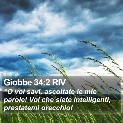 Giobbe 34:2 RIV Bible Verse Image