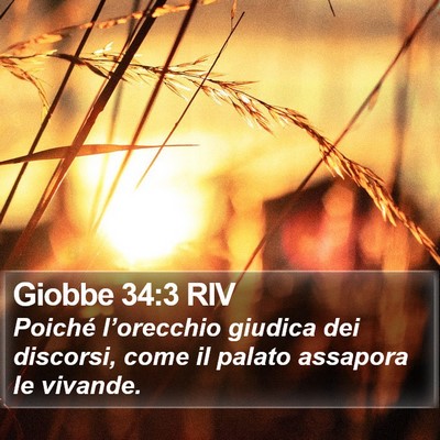 Giobbe 34:3 RIV Bible Verse Image