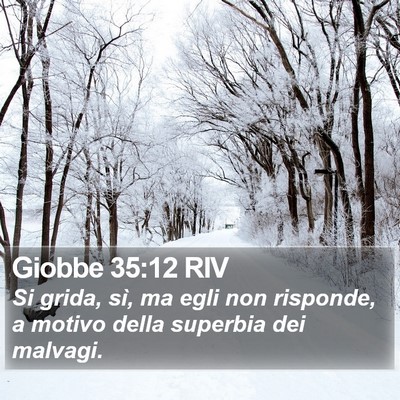 Giobbe 35:12 RIV Bible Verse Image