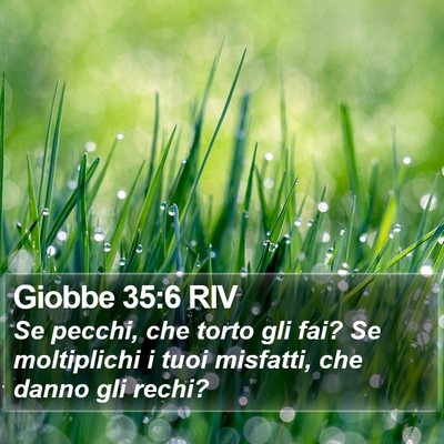 Giobbe 35:6 RIV Bible Verse Image