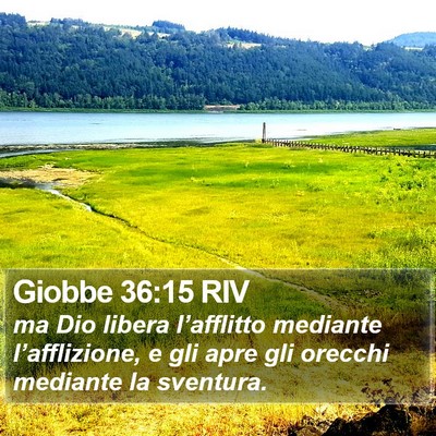 Giobbe 36:15 RIV Bible Verse Image