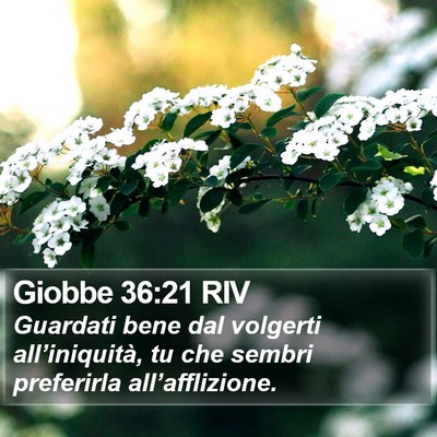 Giobbe 36:21 RIV Bible Verse Image