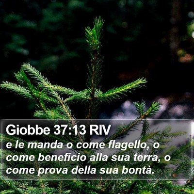 Giobbe 37:13 RIV Bible Verse Image