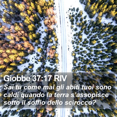 Giobbe 37:17 RIV Bible Verse Image