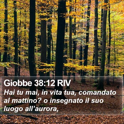 Giobbe 38:12 RIV Bible Verse Image
