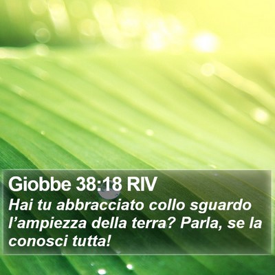 Giobbe 38:18 RIV Bible Verse Image