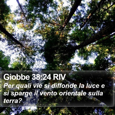 Giobbe 38:24 RIV Bible Verse Image