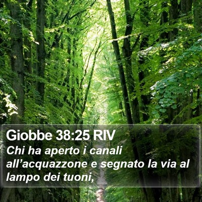 Giobbe 38:25 RIV Bible Verse Image