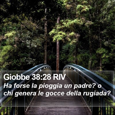 Giobbe 38:28 RIV Bible Verse Image
