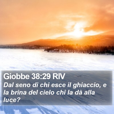 Giobbe 38:29 RIV Bible Verse Image