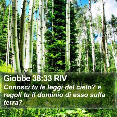 Giobbe 38:33 RIV Bible Verse Image