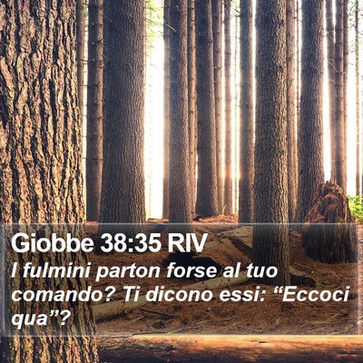 Giobbe 38:35 RIV Bible Verse Image