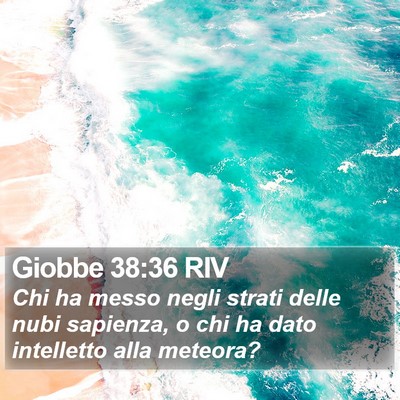 Giobbe 38:36 RIV Bible Verse Image