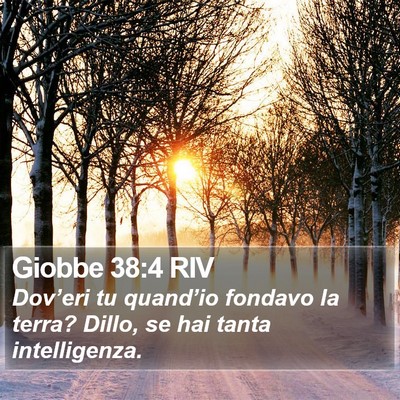 Giobbe 38:4 RIV Bible Verse Image
