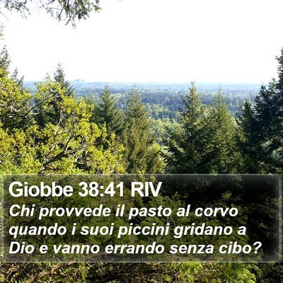 Giobbe 38:41 RIV Bible Verse Image