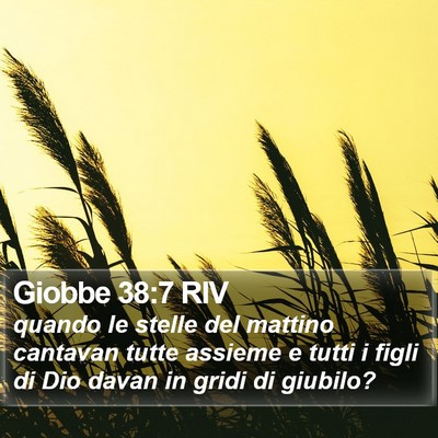 Giobbe 38:7 RIV Bible Verse Image
