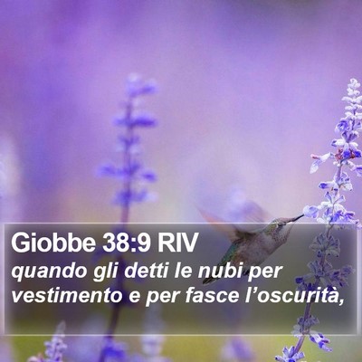 Giobbe 38:9 RIV Bible Verse Image