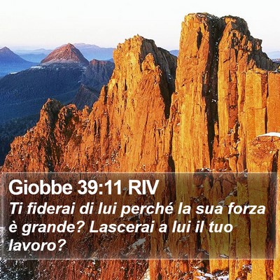 Giobbe 39:11 RIV Bible Verse Image