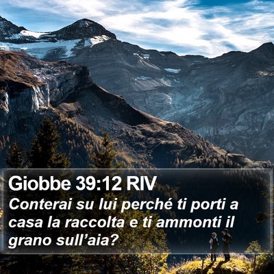 Giobbe 39:12 RIV Bible Verse Image