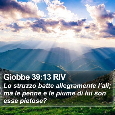 Giobbe 39:13 RIV Bible Verse Image