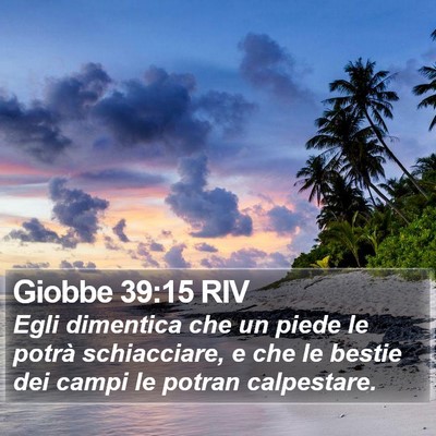 Giobbe 39:15 RIV Bible Verse Image