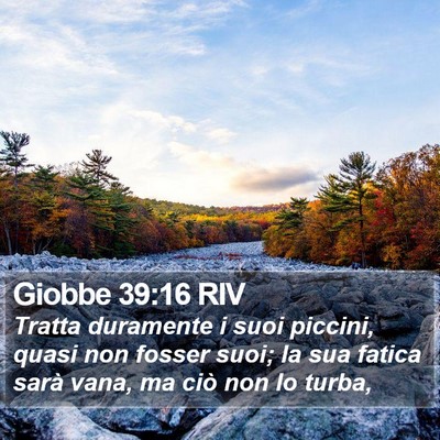 Giobbe 39:16 RIV Bible Verse Image