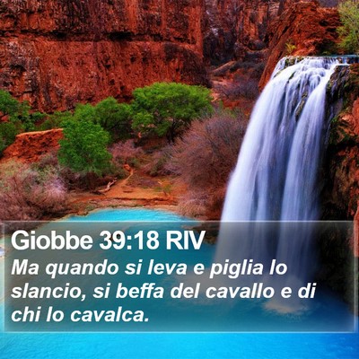 Giobbe 39:18 RIV Bible Verse Image