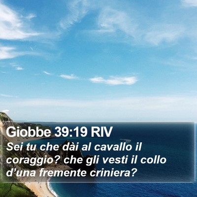 Giobbe 39:19 RIV Bible Verse Image