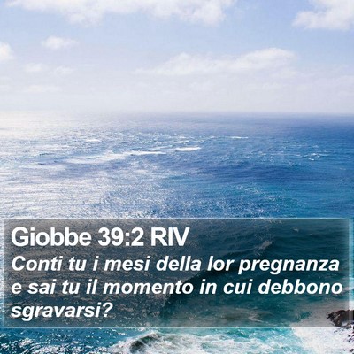 Giobbe 39:2 RIV Bible Verse Image