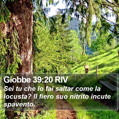 Giobbe 39:20 RIV Bible Verse Image