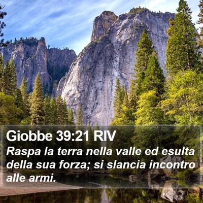 Giobbe 39:21 RIV Bible Verse Image