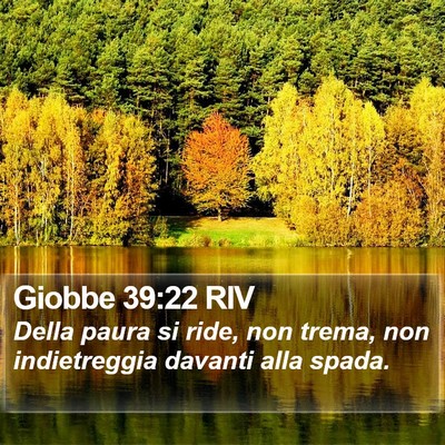 Giobbe 39:22 RIV Bible Verse Image