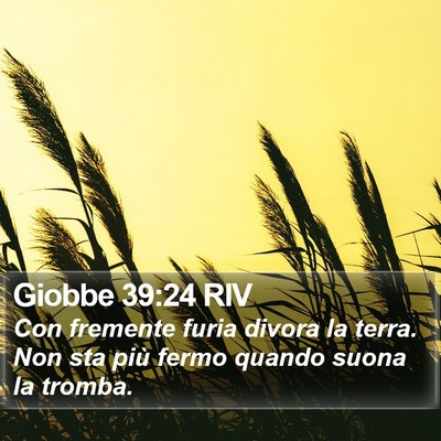 Giobbe 39:24 RIV Bible Verse Image