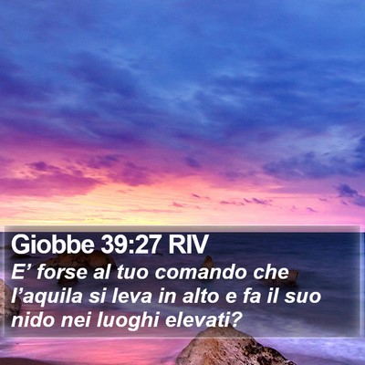 Giobbe 39:27 RIV Bible Verse Image
