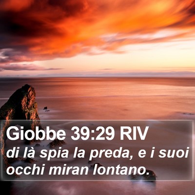 Giobbe 39:29 RIV Bible Verse Image